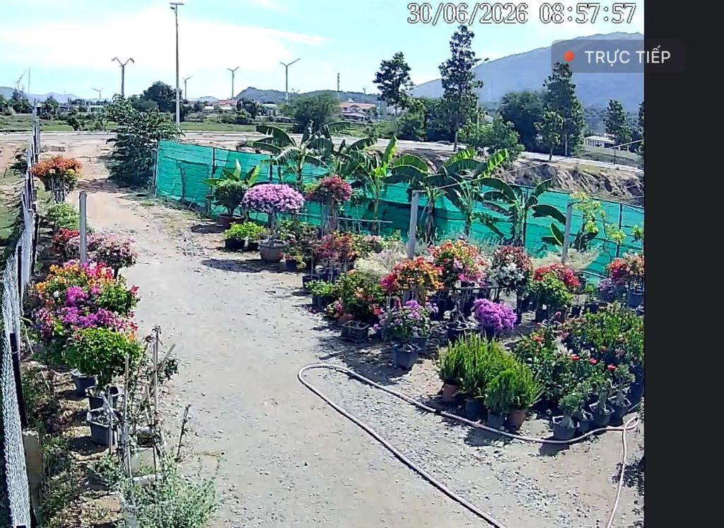 bán đất nông nghiệp gần trường phan bội Châu