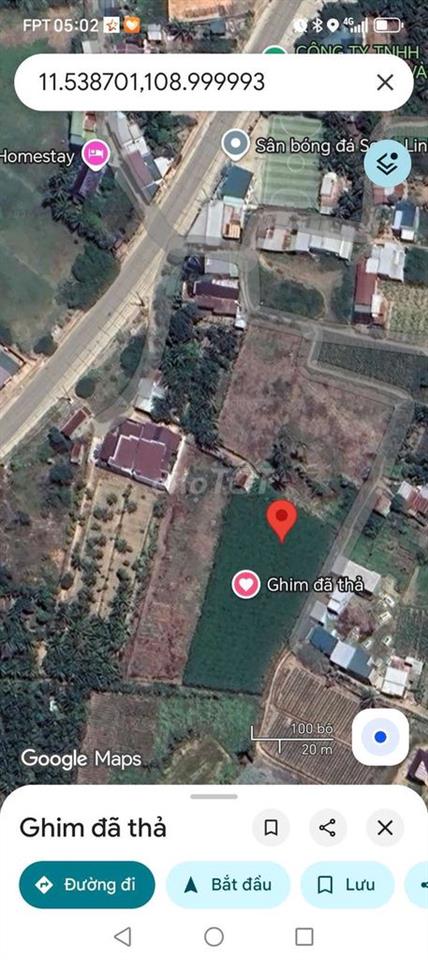 đất trồng cây hàng năm 