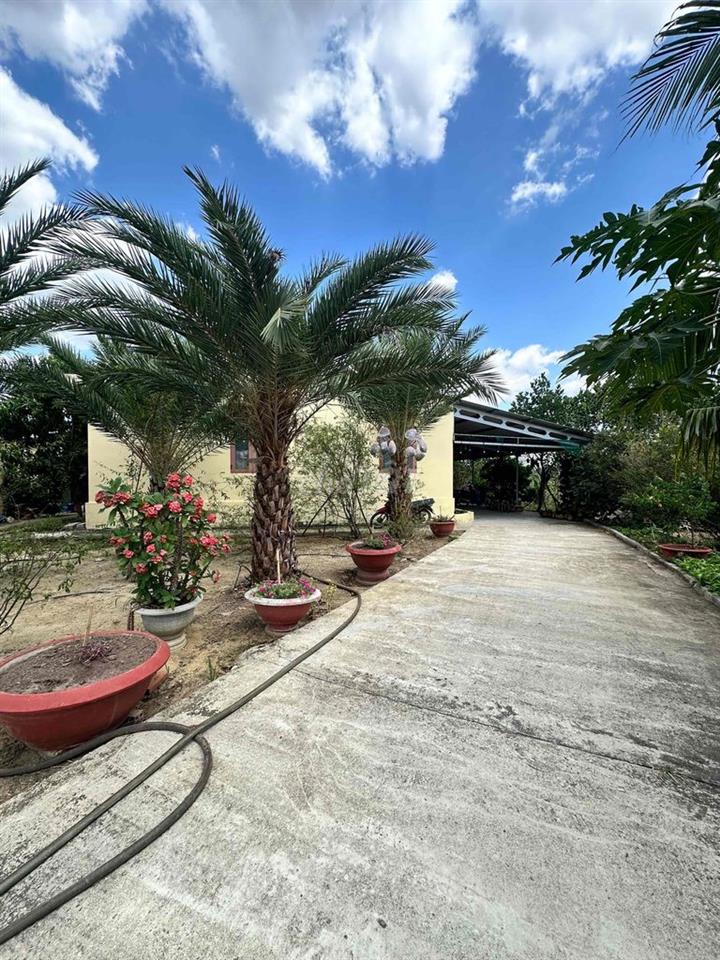 CHÍNH CHỦ BÁN VILLA SÂN VƯỜN NINH SƠN , NINH THUẬN