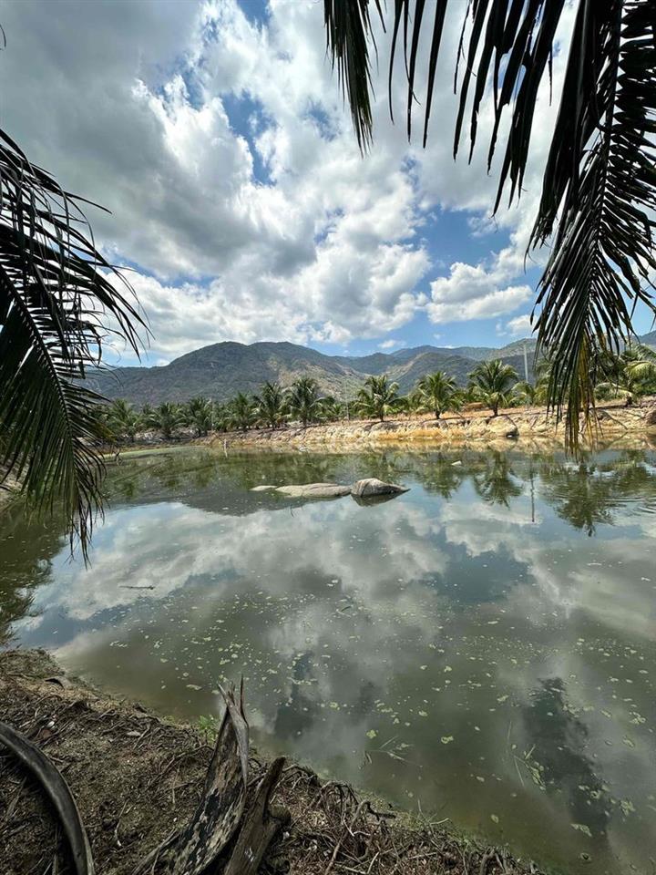 CHÍNH CHỦ BÁN VILLA SÂN VƯỜN NINH SƠN , NINH THUẬN