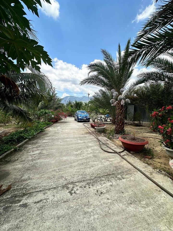 Bán đất sân vườn có villa mini giá ***