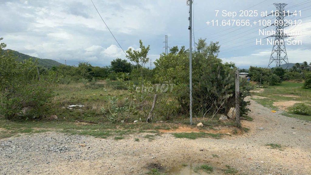 Cần bán lô đất 5900m2 Nha Hố - Ninh Sơn