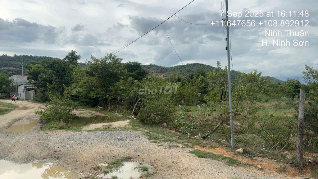 Cần bán lô đất 5900m2 Nha Hố - Ninh Sơn