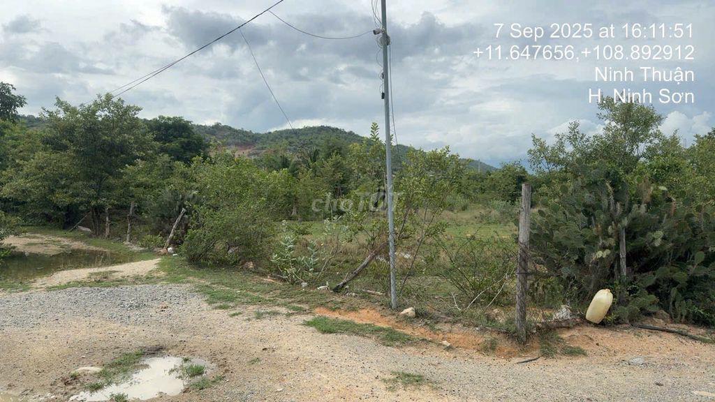 Cần bán lô đất 5900m2 Nha Hố - Ninh Sơn