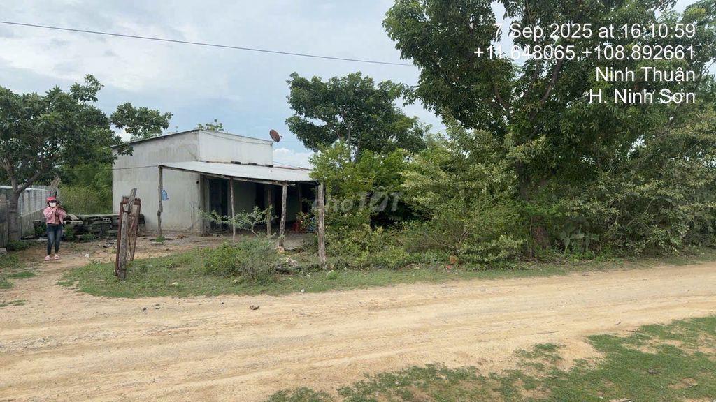 Cần bán lô đất 5900m2 Nha Hố - Ninh Sơn