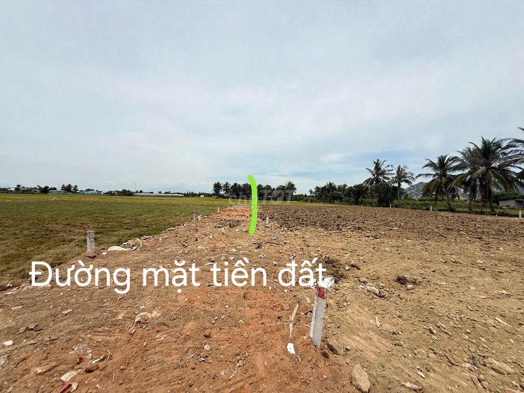 ĐẤT VEN BIỂN NINH CHỬ (CÁCH BÃI BIỂN 5P)