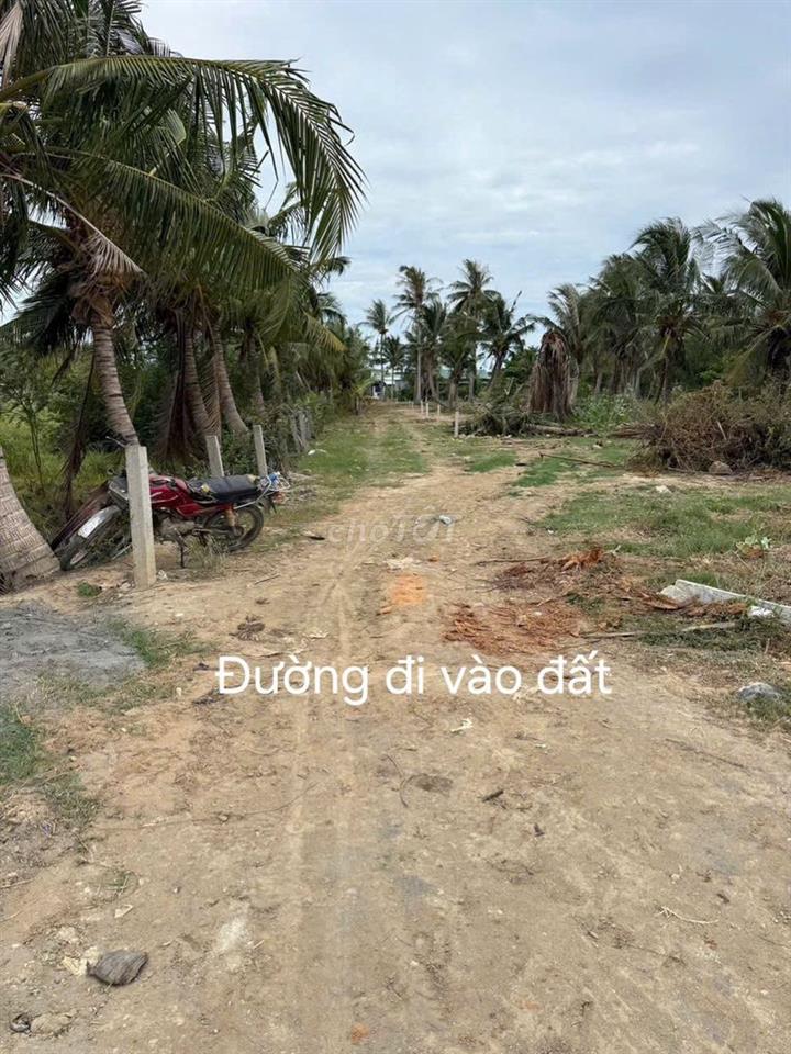 ĐẤT VEN BIỂN NINH CHỬ (CÁCH BÃI BIỂN 5P)