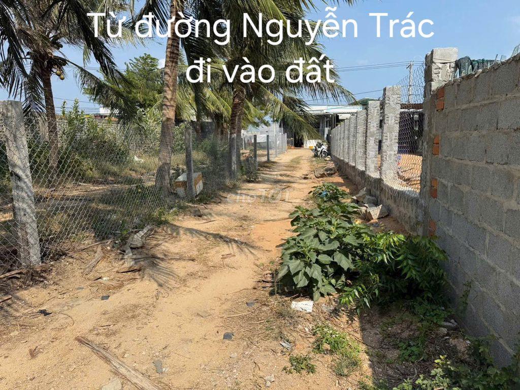ĐẤT VEN BIỂN NINH CHỬ (CÁCH BÃI BIỂN 5P)