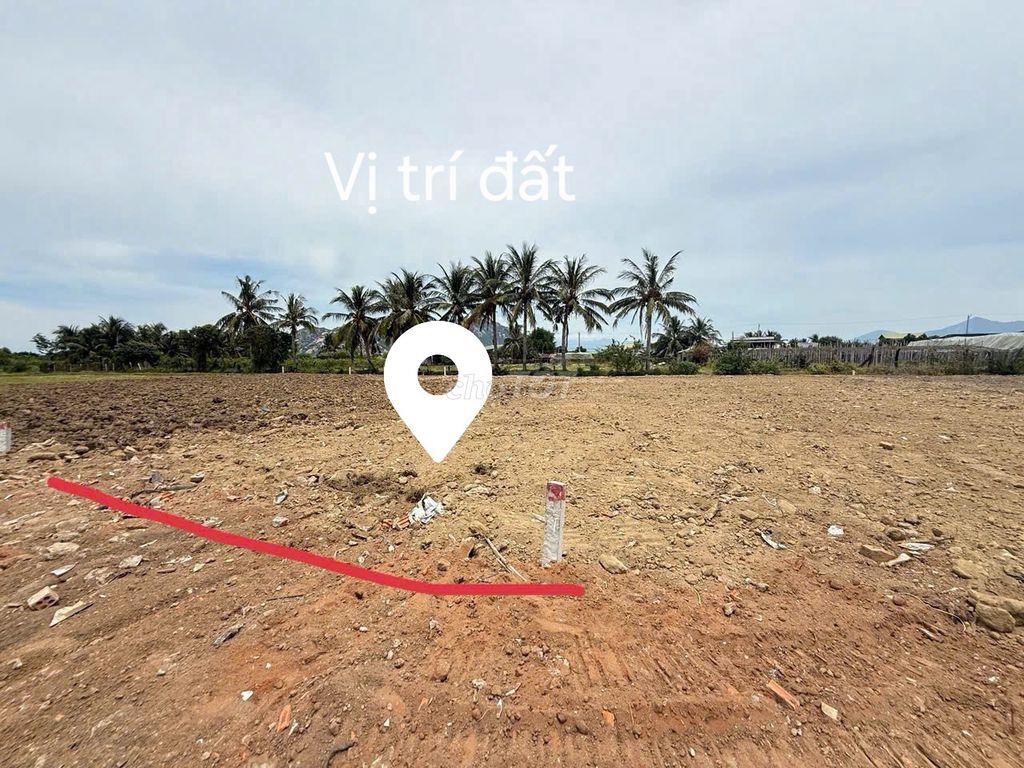 ĐẤT VEN BIỂN NINH CHỬ (CÁCH BÃI BIỂN 5P)