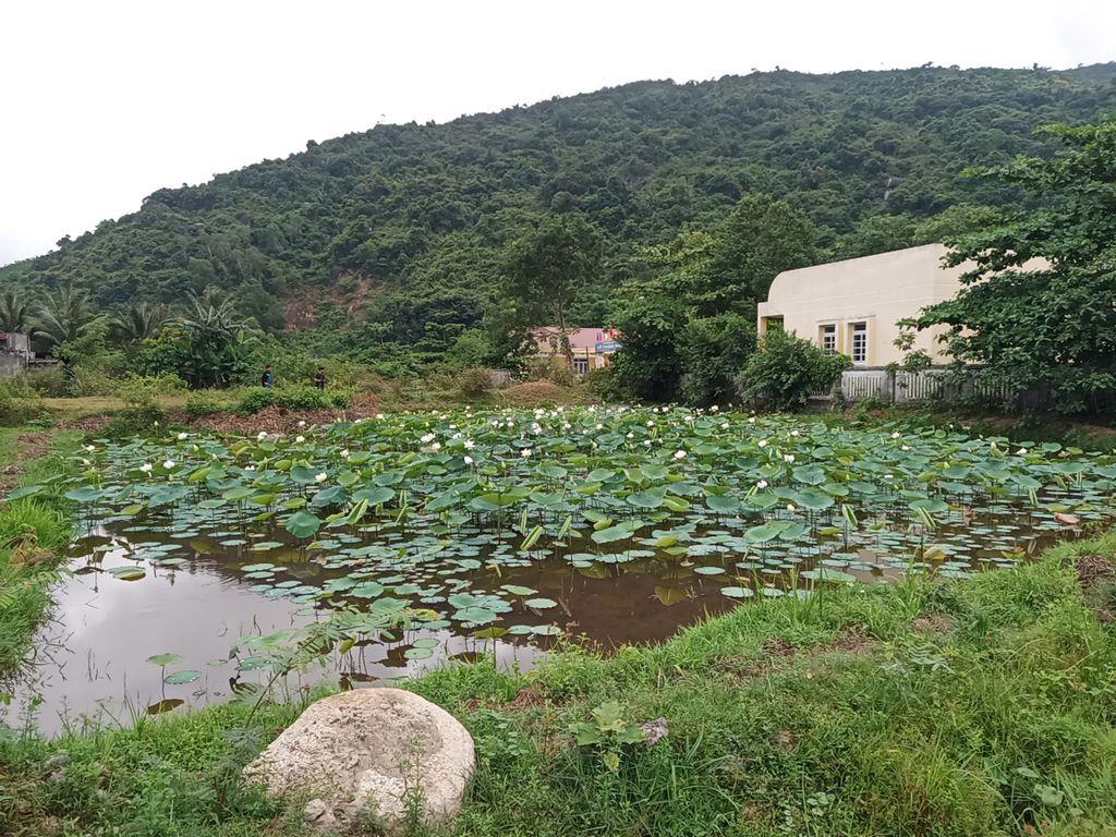 Mặt tiền kd cho thuê ở, buôn bán, làm homestay