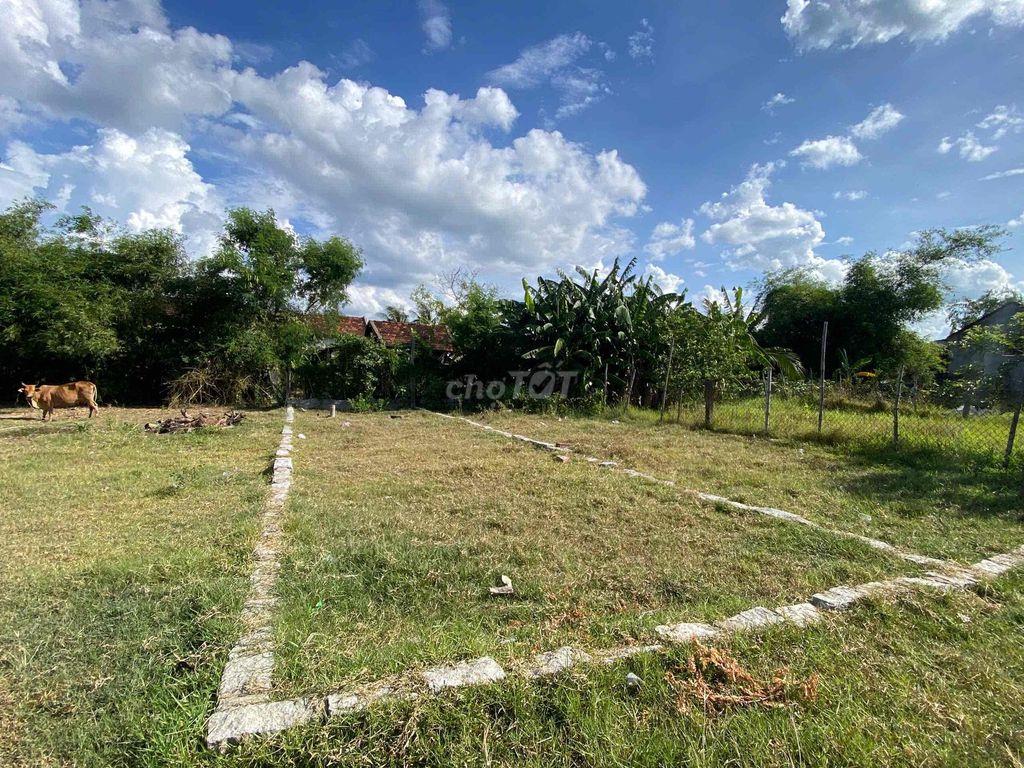 Chính chủ 198m2 ĐẤT THỔ CƯ ODT ĐÔNG HOÀ - PHÚ YÊN