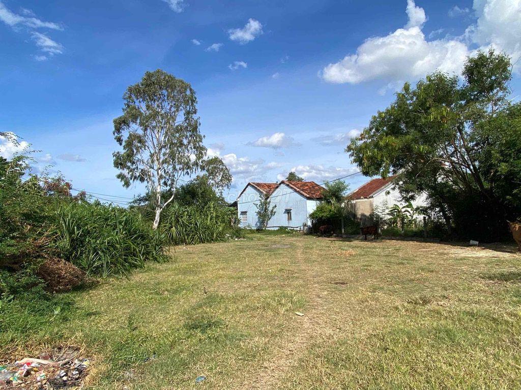 Chính chủ 198m2 ĐẤT THỔ CƯ ODT ĐÔNG HOÀ - PHÚ YÊN