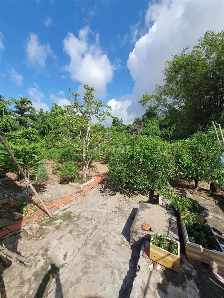 BÁN NHÀ + VƯỜN DIỆN TÍCH 1.126M² – GIÁ 1,8 TỶ