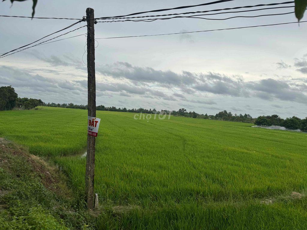 bán đất ruộng