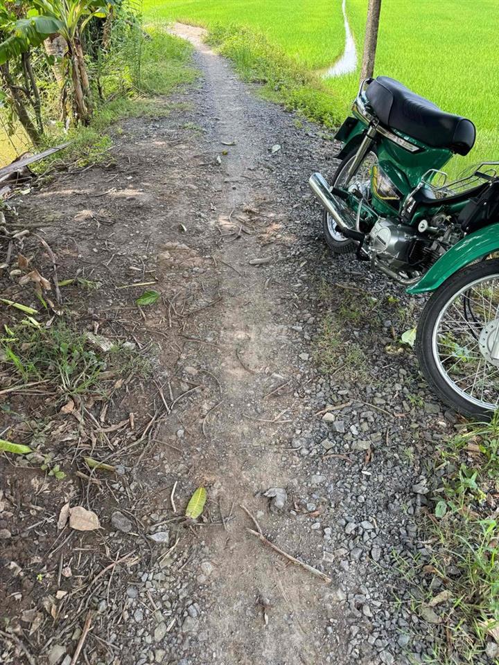 bán đất ruộng