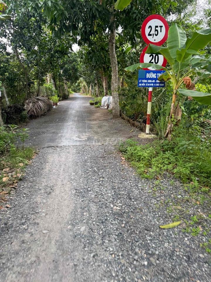 bán đất ruộng