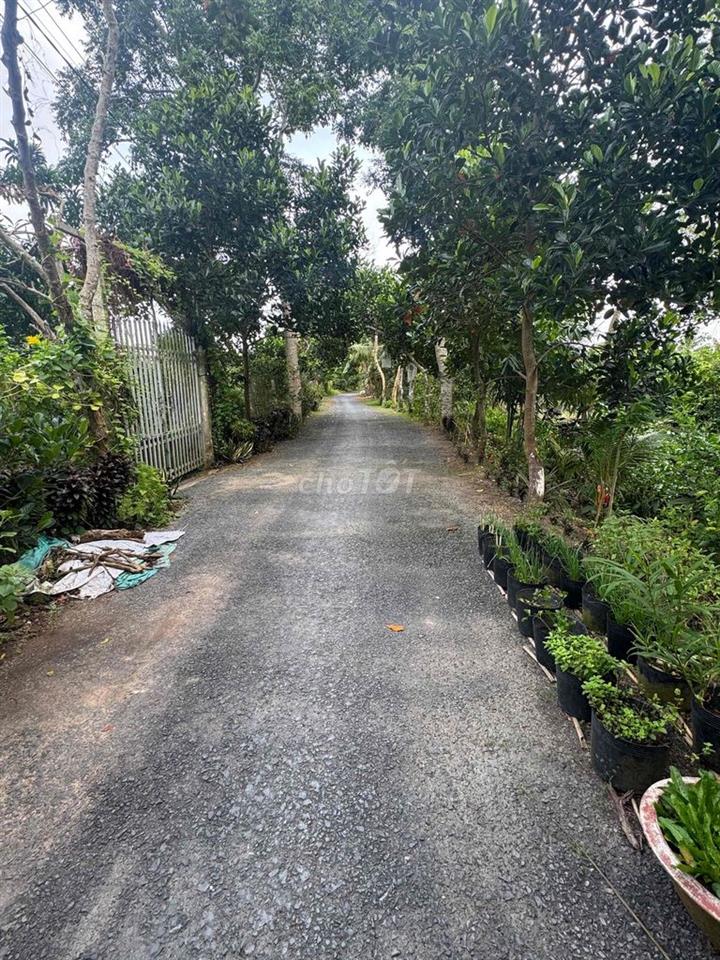 đất ruộng có trả là có bán