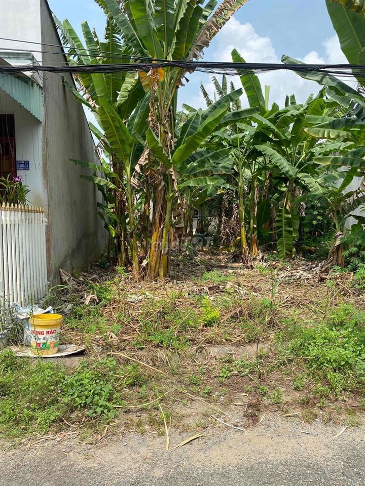 Bán đất nền kdc Tân Phú Đông Tp Sa Đéc cũ