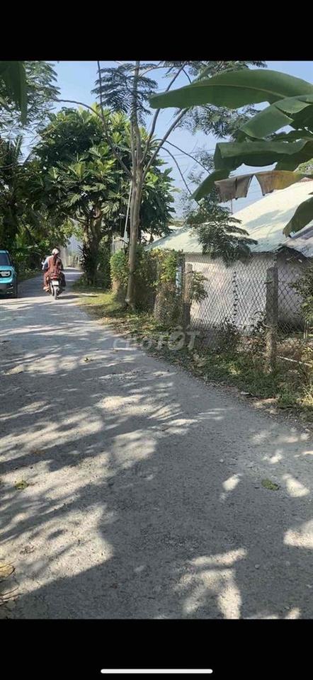 Bán đất thổ cư lớn mặt tiền đường nhựa đường nhựa