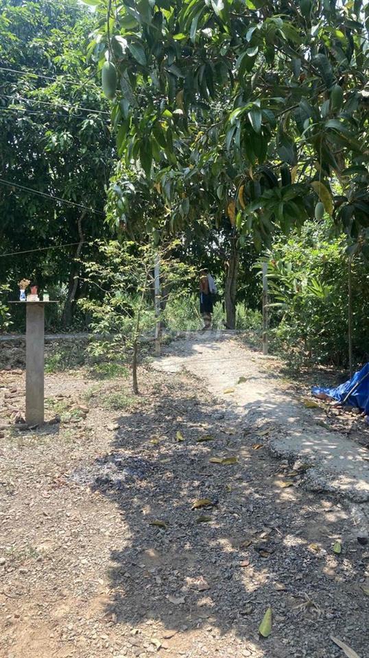 Cần bán đất thổ có nền nhà ở ấp 4 xã phong mỹ