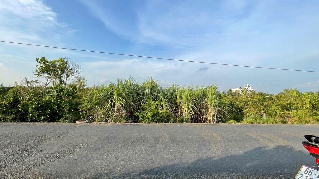 ĐẤT NỀN KDC MỚI XÃ THANH MỸ - CÓ THƯƠNG LƯỢNG
