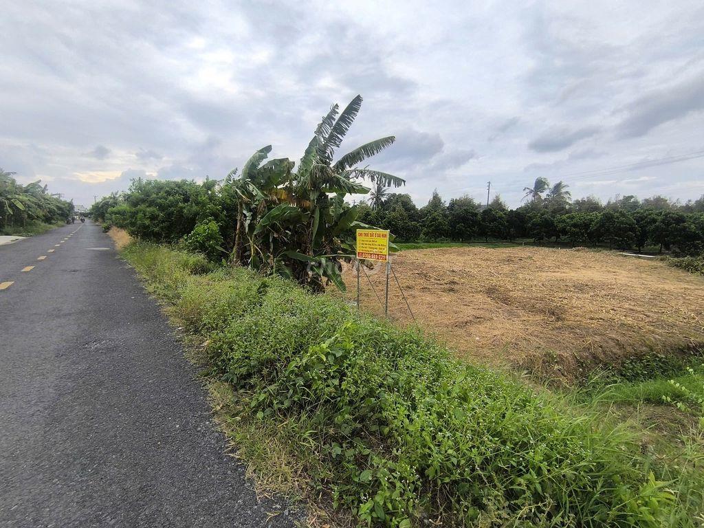 CHO THUÊ ĐẤT THỔ DÀI HẠN