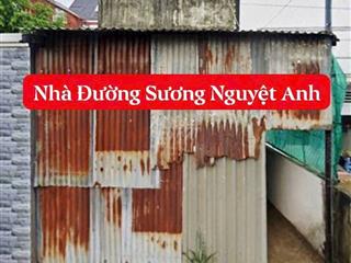 bán nhà 2 mặt tiền Sương Nguyệt Ánh & trần quang khải 