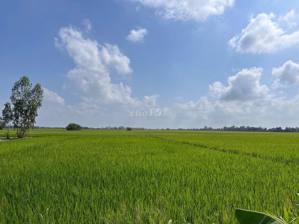 ĐẤT NỀN MẶT TIỀN TỈNH LỘ 933C - LONG PHÚ, SÓC TRĂNG