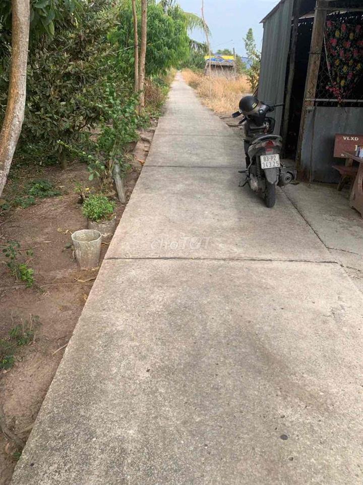 Bán 1000m2 đất vườn mát mẽ cho người cần nơi ở dưỡng già