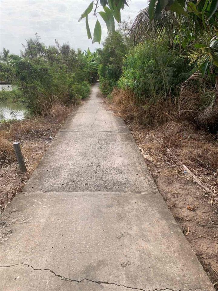 Bán 1000m2 đất vườn mát mẽ cho người cần nơi ở dưỡng già