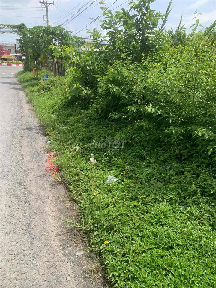 Bán nền cho người xây nhà sinh sống dưỡng già kinh doanh thuận lợi