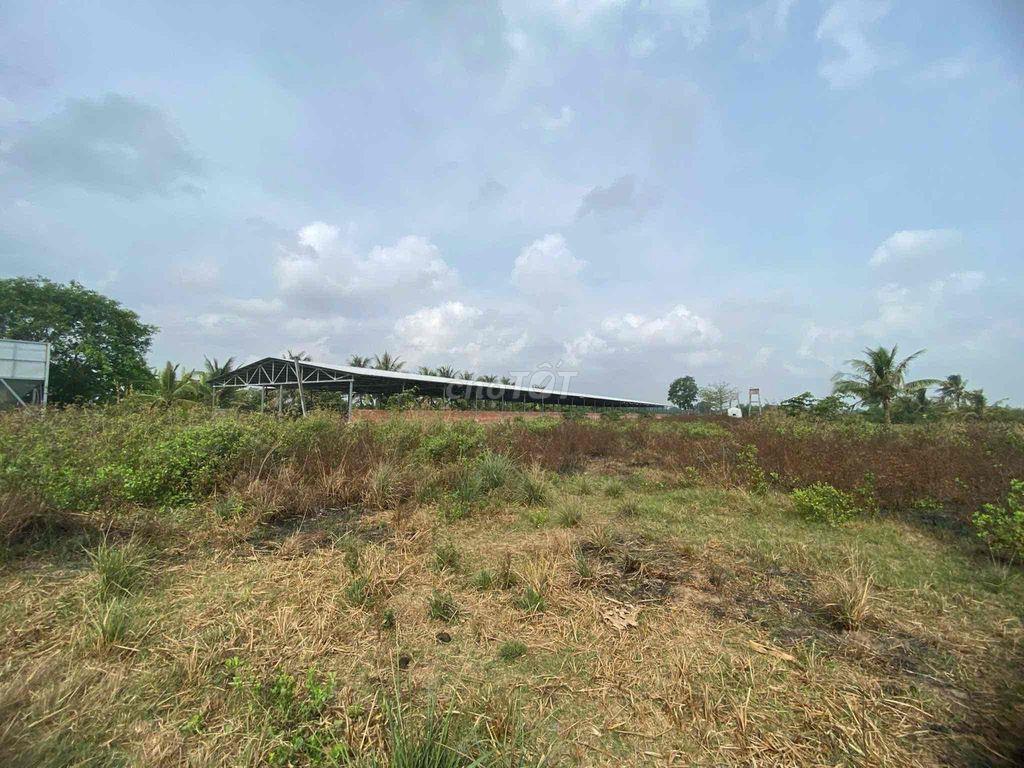 NHÀ ĐẤT + TRẠI NUÔI GÀ