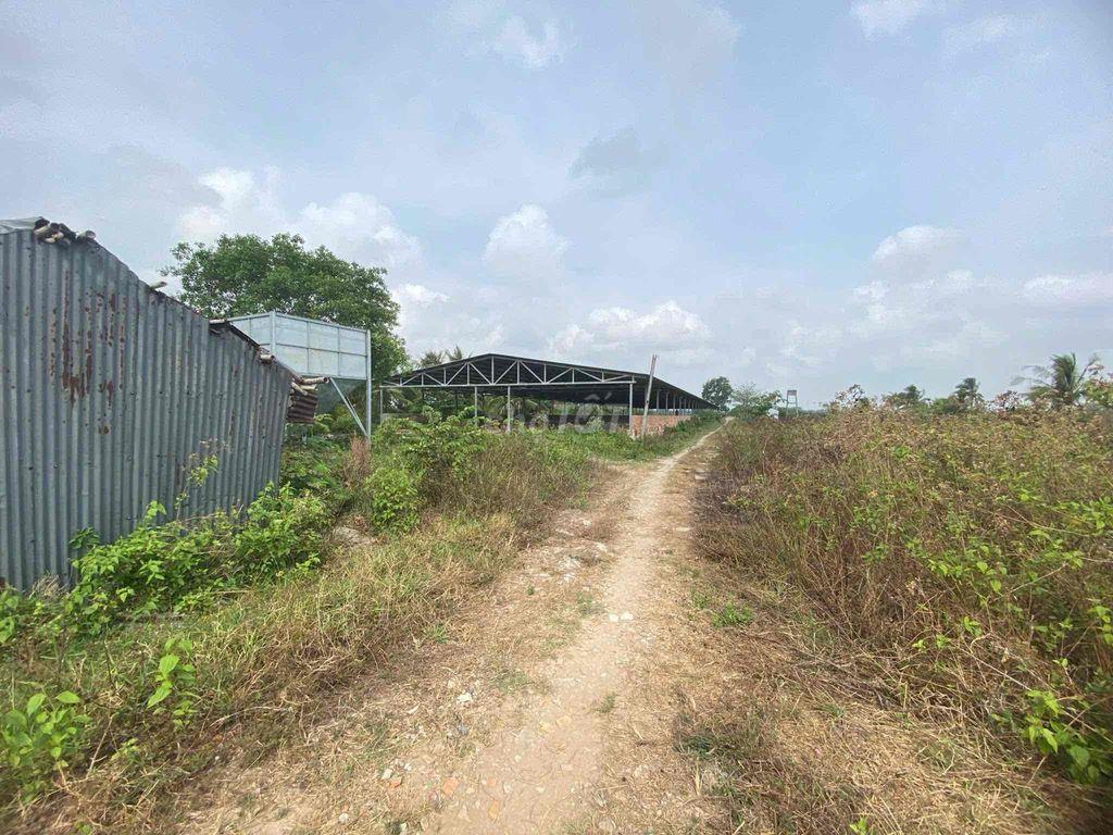 NHÀ ĐẤT + TRẠI NUÔI GÀ