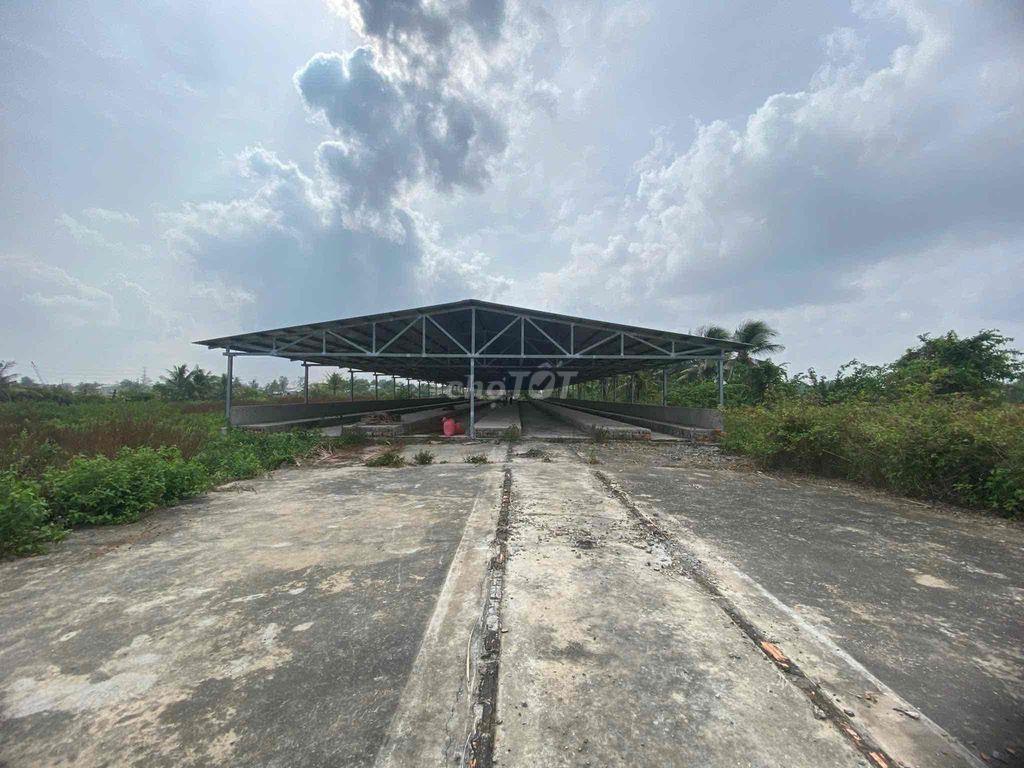 NHÀ ĐẤT + TRẠI NUÔI GÀ