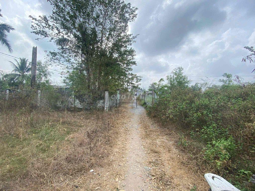 NHÀ ĐẤT + TRẠI NUÔI GÀ