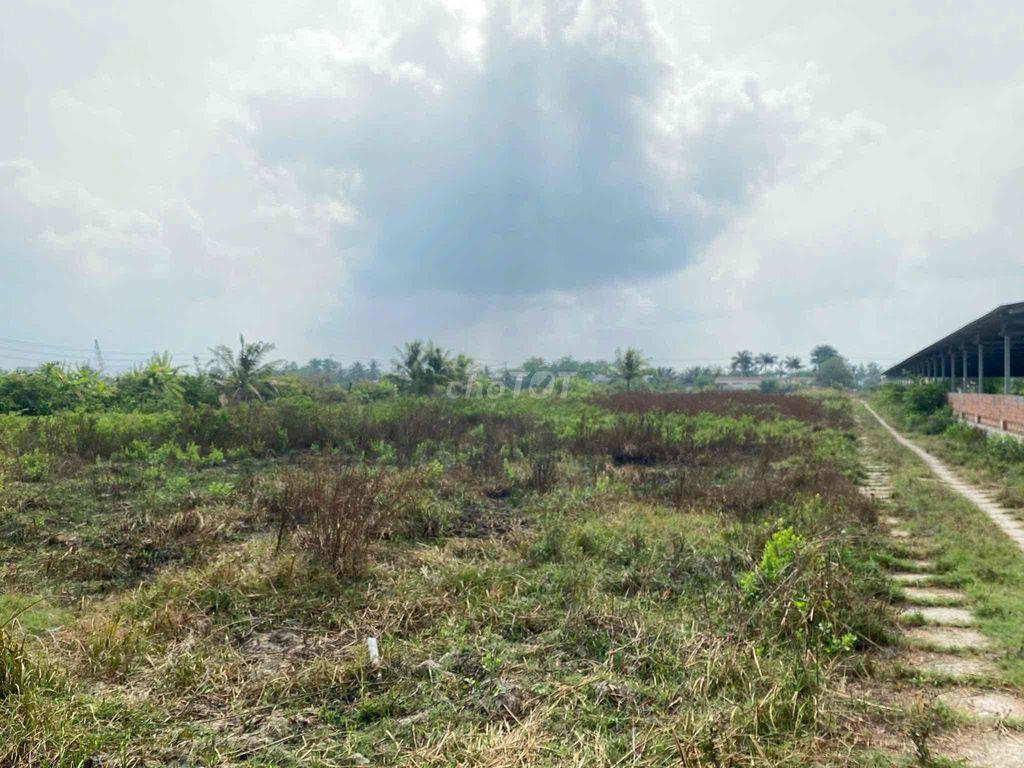 NHÀ ĐẤT + TRẠI NUÔI GÀ