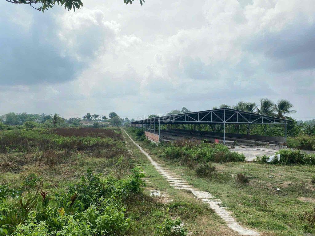 NHÀ ĐẤT + TRẠI NUÔI GÀ