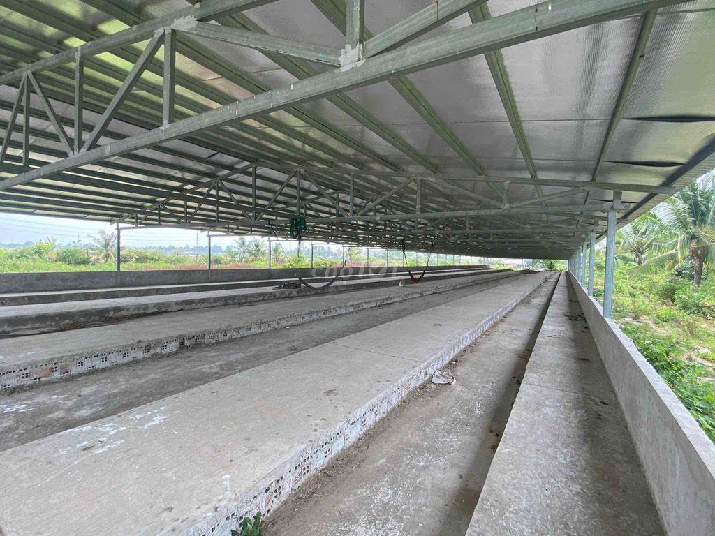 NHÀ ĐẤT + TRẠI NUÔI GÀ