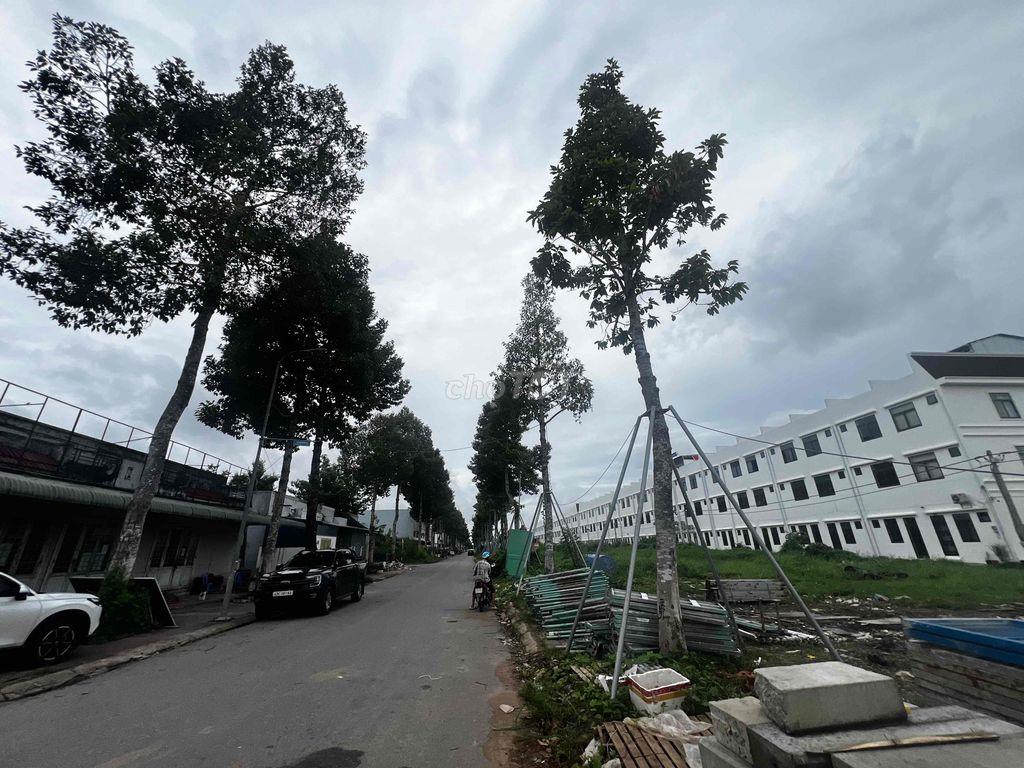 Cho thuê nhà gần trương quốc tế FPT Sóc Trăng