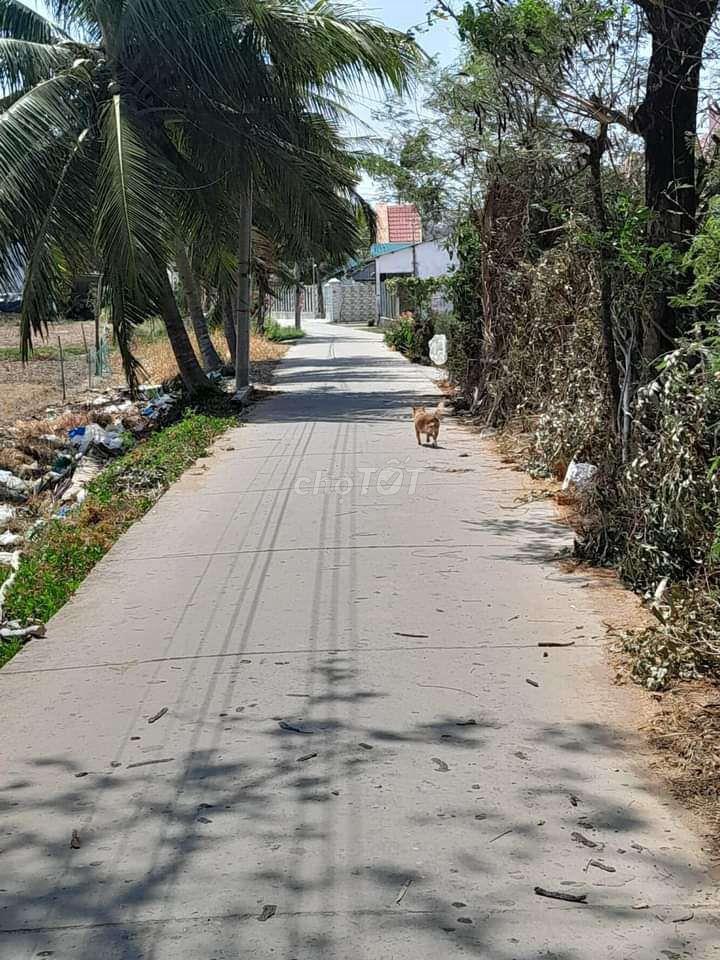 Đất nền thổ cư đô thị mặt tiền lộ bê tông trần đề,thành phố cần thơ