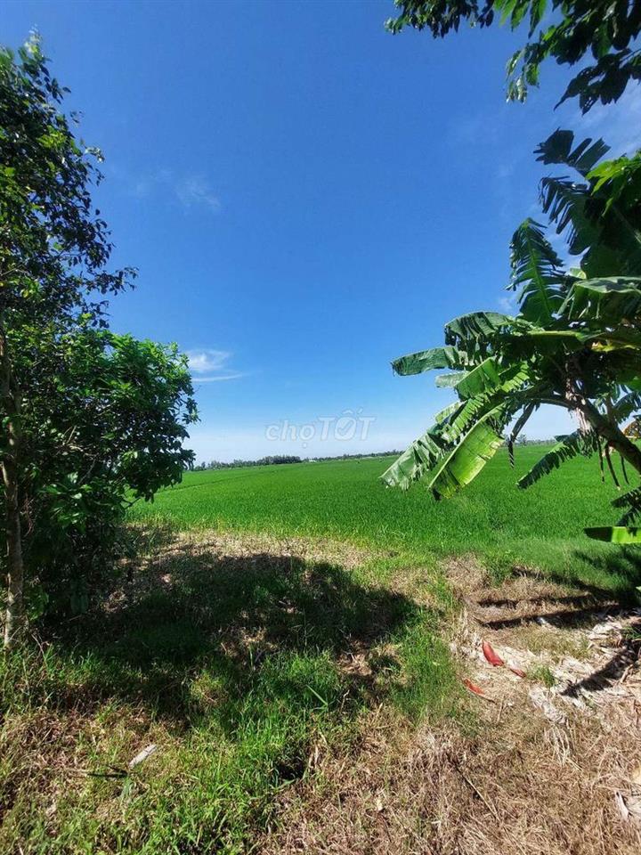 Cần Bán Đất Châu Thành