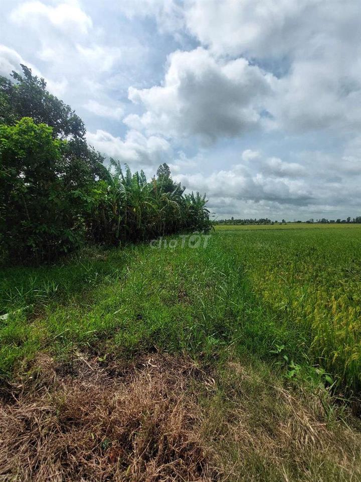 Cần Bán đất Châu Thành Sóc Trăng