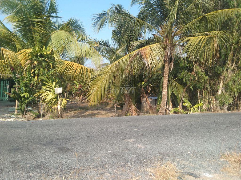 Đất thổ cư
