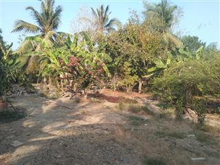 Đất thổ cư