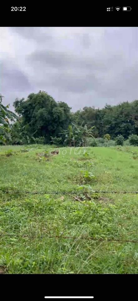 Thôn An Đồng, Xã Trung Sơn, Huyện Gio Linh, Tinh Quảng Trị.