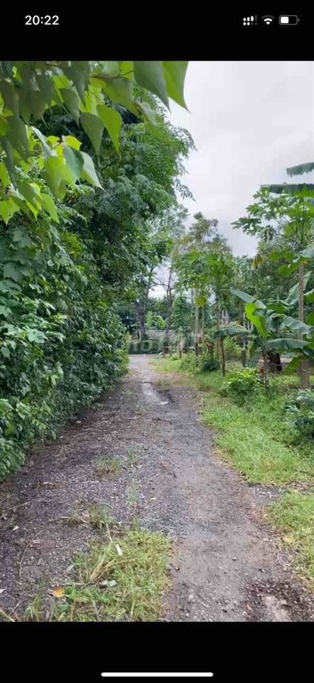 Thôn An Đồng, Xã Trung Sơn, Huyện Gio Linh, Tinh Quảng Trị.