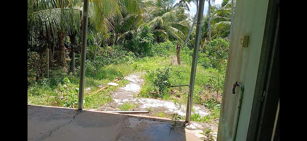 BÁN ÐÂT TẶNG NHÀ MẶT TIỀN TẠI TRÀ VINH 