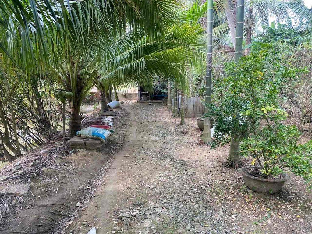 TỔ HỢP NHÀ Ở - KHO XƯỞNG - VƯỜN - AO HỒ MẶT TIỀN QL60 (5.500M²)
