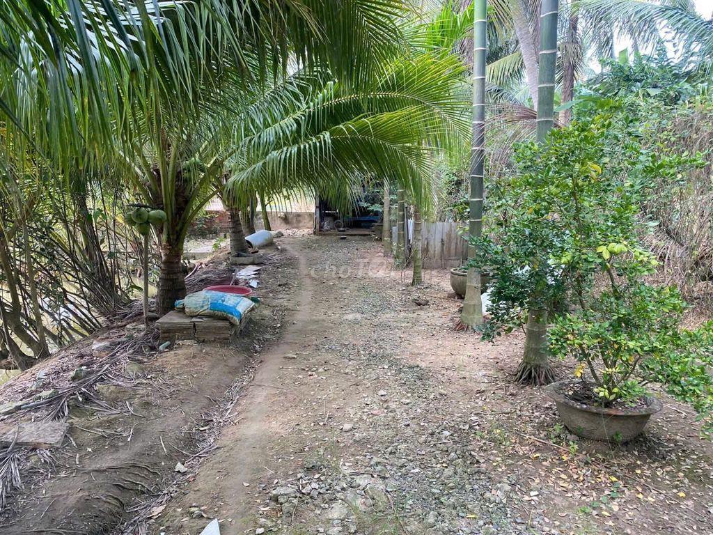 Bán nhà, đất, xưởng 5.500 m2 mặt tiền QL60 - Cách TP. Trà Vinh chỉ 4km