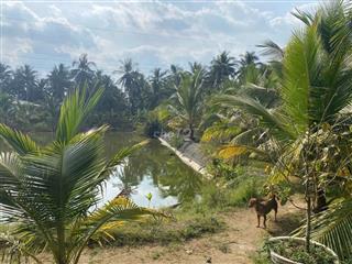 Bán nhà, đất, xưởng 5.500 m2 mặt tiền QL60 - Cách TP. Trà Vinh chỉ 4km